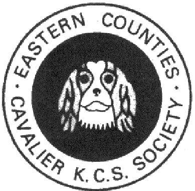 {ecckcss logo