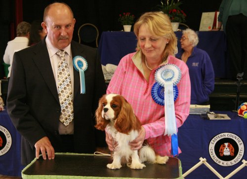 Best in Show 