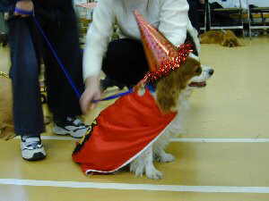 Fancy Dress