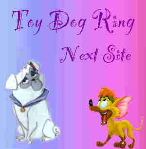 Toy Dog ring