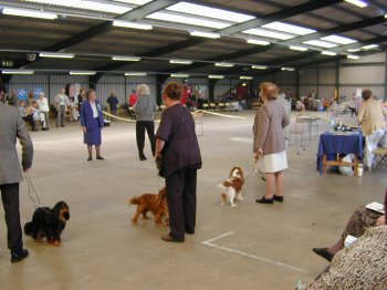 Dog Ring